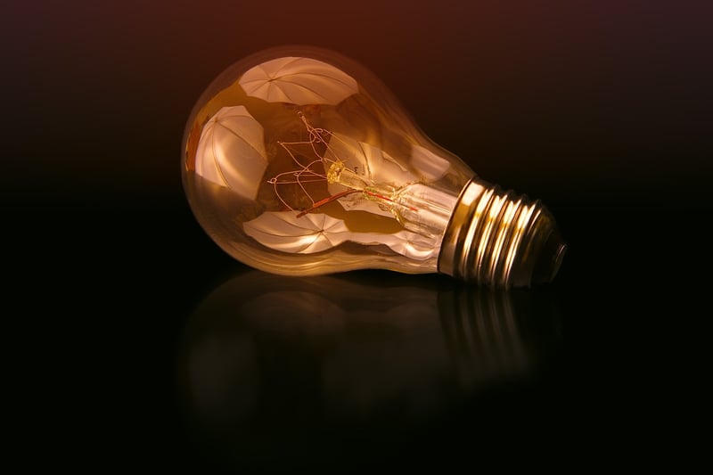 Light Bulb Vases